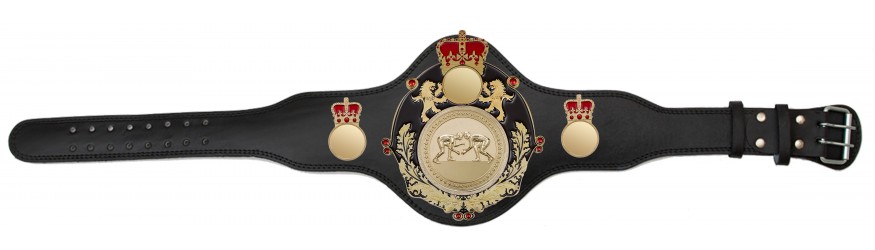 QUEENSBURY PLT LEATHER GRAPPLING CHAMPIONSHIP BELT - PLTQUEEN/B/G/GRAPG - AVAILABLE IN 4 COLOURS
